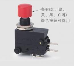 藍(lán)鳥(niǎo)RENEW RS-5GL 短柄微動(dòng)開(kāi)關(guān) 電工開(kāi)關(guān)領(lǐng)域的可靠選擇